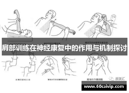 肩部训练在神经康复中的作用与机制探讨
